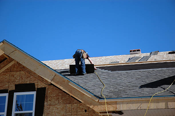 Best Roof Gutter Cleaning  in Reno, OH
