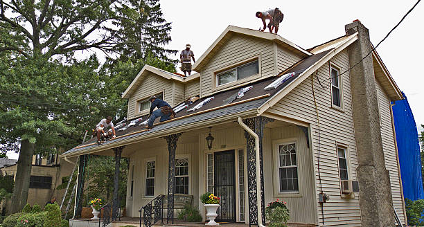 Best Gutter Installation and Roofing  in Reno, OH